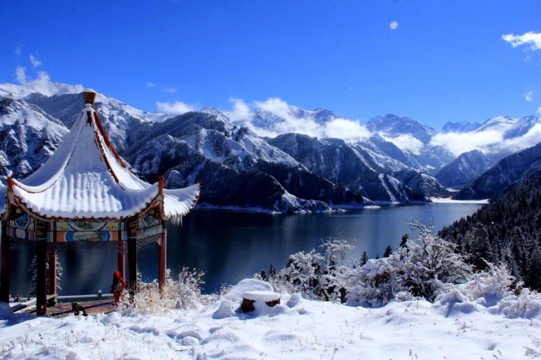 缤纷水果茶无敌版